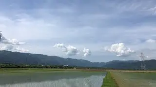 生配信のおっさん〜マキノ町の田園から〜