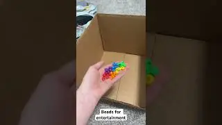 Making a house for my worms