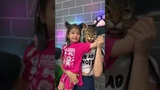 LNS - Bữa tiệc của những ch&uacute; m&egrave;o || Kitten dance cover | Just for fun #shorts