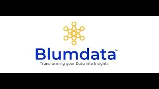 Meet the Founder of Blumdata.com | Vision, Mission & the Future of&nbsp;Digital&nbsp;Growth