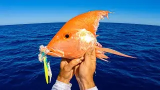 Slow Pitch Jigging (Tasty Treats)