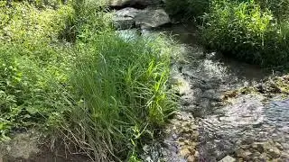 4K Babbling Brook & Butterfly | Relaxing Nature Sounds for Inner Peace, Meditation, Study, Sleep 