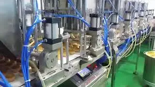 Injection machine/ Filling machine for cakes or breads in mass production line.