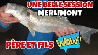 P&Ecirc;CHE ENTRE P&Egrave;RE ET FILS, DU FISH ET DU BEAU TEMPS &Agrave; MERLIMONT 🎣 #peche #surfcasting #pecheenmer