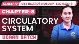 🧬 Blood Group Problem Solving | ICSE Class 10 Biology | Circulatory System | Lecture 9 | UDAAN​
