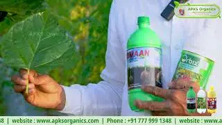 Mulberry Online Farmer Mr. Rajkumar giving feedback about our Products
