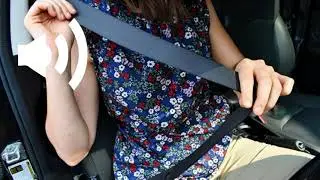 ruido del cintur&oacute;n de seguridad