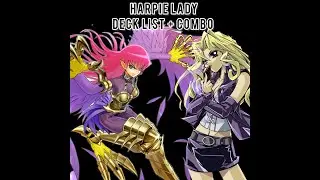 HARPIE LADY COMBO + DECK LIST !