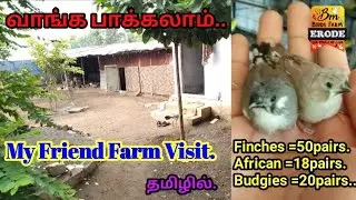 Part -23// Farm visit. Farm structure tip's ||Finches||Tamil