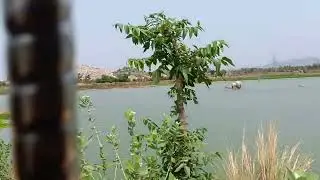 Beautiful place at Naupada in Andhra Pradesh