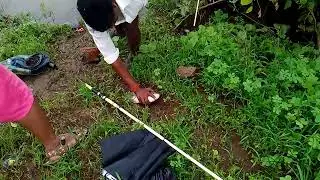 Big fish catching at Ulhas River Ambivli