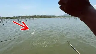 開車一千八百公里，因爲兄弟想喫魚了，必須讓他看到我的實力！【野釣長空】
