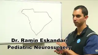 Professor of Neurosurgery explains brain cancer statistics