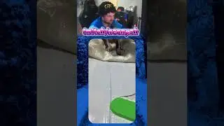 Помогла хозяйке 😺| twitch.tv/neonpsh - розыгрыши и турниры каждый месяц!