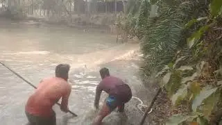 fish cutting market village life big boy fish amazing opportunity