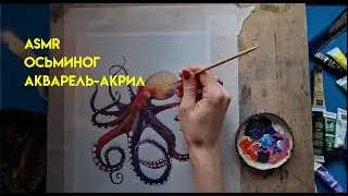 Осьминог ASMR акварель - акрил