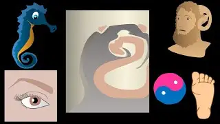 Hippocampal Anatomy Made EASY!