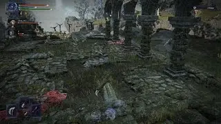 ELDEN RING NIGHTREIGN Everdark Libra Boss Fight Win
