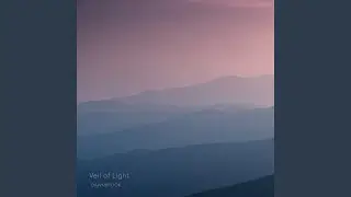 Quiet Veil