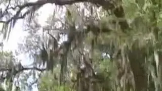 Garden Tour St. Francisville