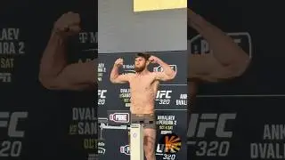 Магомед Анкалаев сделал вес перед боем против Алекса Перейры на UFC 320 #анкалаев #ufc