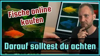 Lebende Fische per Post? | Worauf du unbedingt achten musst!