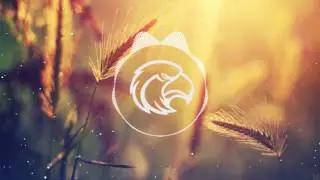 Royal Brothers & TASHMK - FOCUS