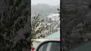 muree hadsa