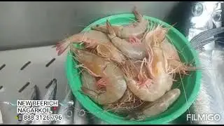 🐟🦈🐠NEW BEERICH FISH CORNER🐟🦈🐠 FOR MORE DETAILS CONTACT NUMBER📲 888 3126 796.....