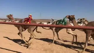 شداد للسيد/ ضيف الله بن محمد الحويطي