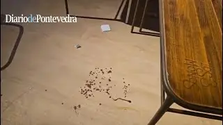 Estado de Los 3 Monos de Aguete tras la brutal agresi&oacute;n