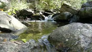 Bruin Ranch Slide Show HD