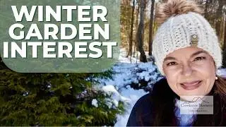 The Best Shrubs for Winter Interest (Color, Texture & Structure)