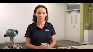 How To Verify Rosemount Vortex Sensor Health