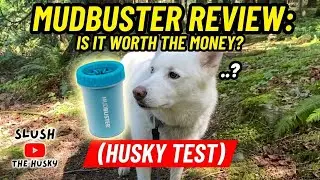 Mudbuster Review: Is It Worth The Money? (Husky Test)