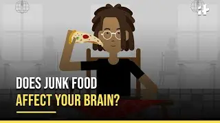 How Does Junk Food Affect Your Brain | Wonder Why Ep-3 | Indiatimes