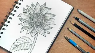 How To Draw Sunflower Step by Step 😍 || Arts By TD