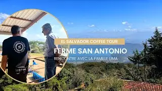 ☕ Plongez au cœur d’un café d’exception venu tout droit du Salvador !