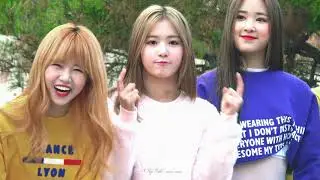 181118 네이처 (Nature) 채빈 (Chaebin) - 마로니에공원 게릴라 직캠 (Fancam)