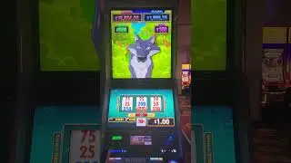бонус на huff n xtra puff #shortsvideo #slot #jackpot #shorts #casino