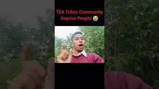 Tea Tribes Community Leader Thank You 🙏 #ytshorts #trendingshorts #youtubeshort #minishorts