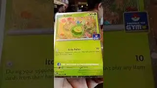 POKEMON BUDEW PULL !! #pokemon  #toysandhobbies  #collection  #business