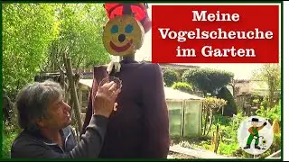Meine Vogelscheuche im Garten