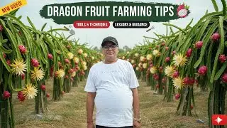 Dragon Fruit Farming Tools and Implementation #dragonfruitfarmlerning #learnfarming #farmingtips 