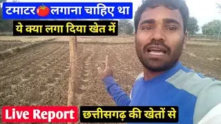 Why Farmers Are Not Planting Tomatoes? January Price Will Rise |Live Ground Report from Chhattisgarh