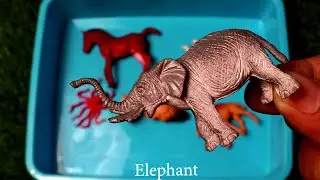 Hunting found Jurassic world evolution 2 T rex, Penguin, Conch, Elephant, animal revolt battle
