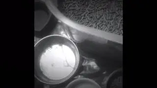 Feeding Time!