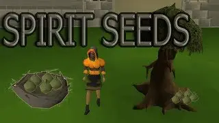 OSRS - Spirit seeds GUIDE