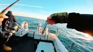 ONE OF MY FAVOURITE JIGS CATCHES BUCKET LIST FISH 