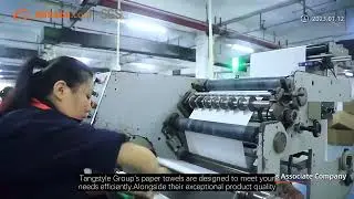Why Choose Tangstyle Group for Your Kitchen Paper Towels Bulk Needs